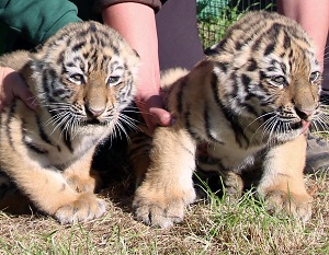 © Zoo Leipzig