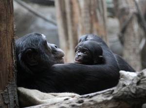 © Zoo Leipzig GmbH