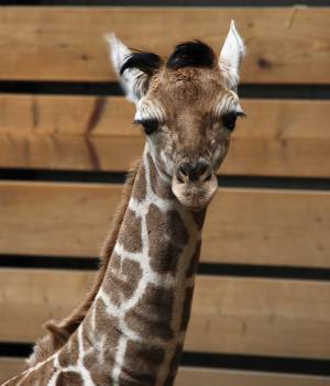 © Tier- und Freizeitpark Jaderberg