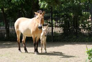 © Zoo Leipzig