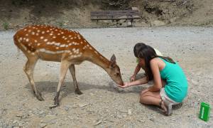 © Ganz nah dran – im Wild-Freizeitpark-Westerwald in Gackenbach