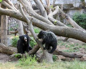 © Zoo Leipzig