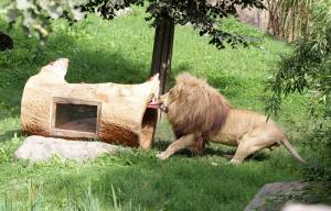 © Zoo Leipzig