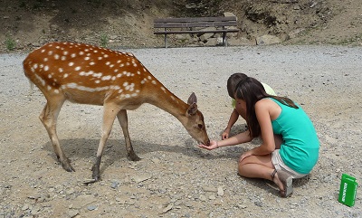 © Ganz nah dran: im Wild-Freizeitpark Westerwald in Gackenbach