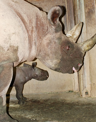 © Zoo Leipzig