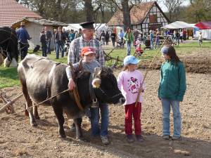 © Tierpark Sababurg