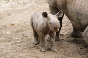 © Zoo Leipzig