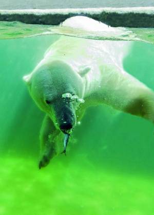 © Münchener Tierpark Hellabrunn AG