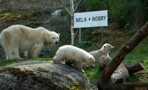 © Münchener Tierpark Hellabrunn AG