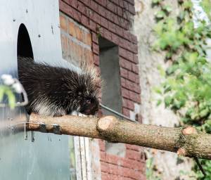 © Tier- und Freizeitpark Jaderberg