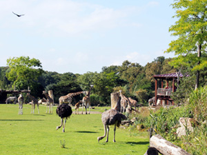 © Zoo Leipzig