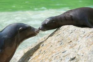 © Münchener Tierpark Hellabrunn AG