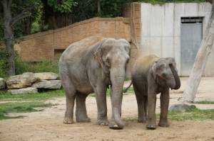 © Zoo Leipzig GmbH