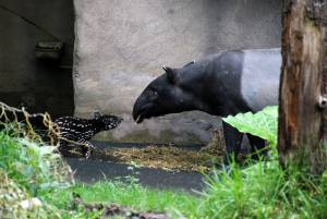 © Zoo Leipzig GmbH